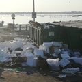 mercato ittico rifiuti