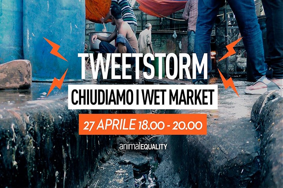 tweetstorm wet market.jpg